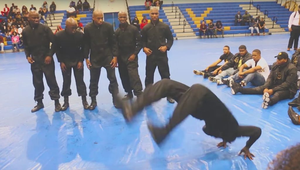 Fisk alpha phi alpha