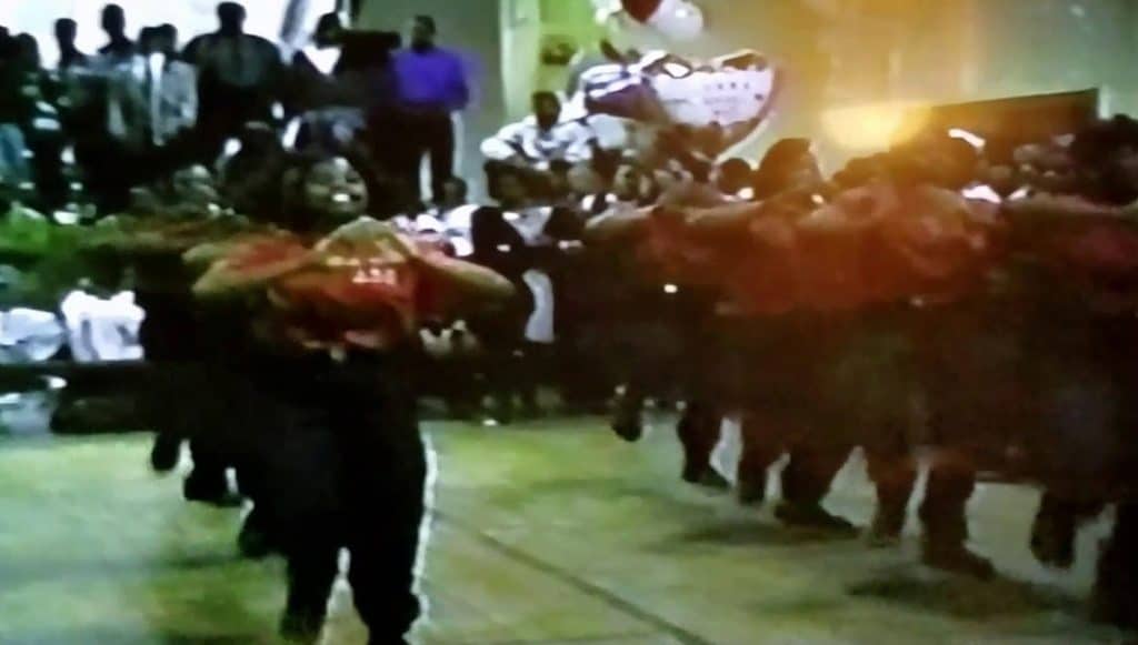 DELTA SIGMA THETA 1992