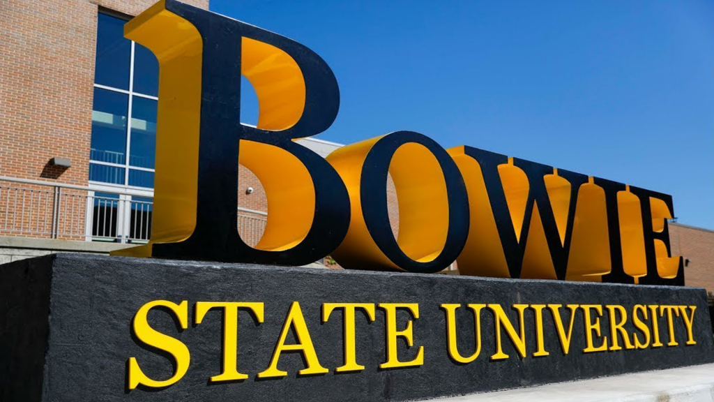 Bowie state animation