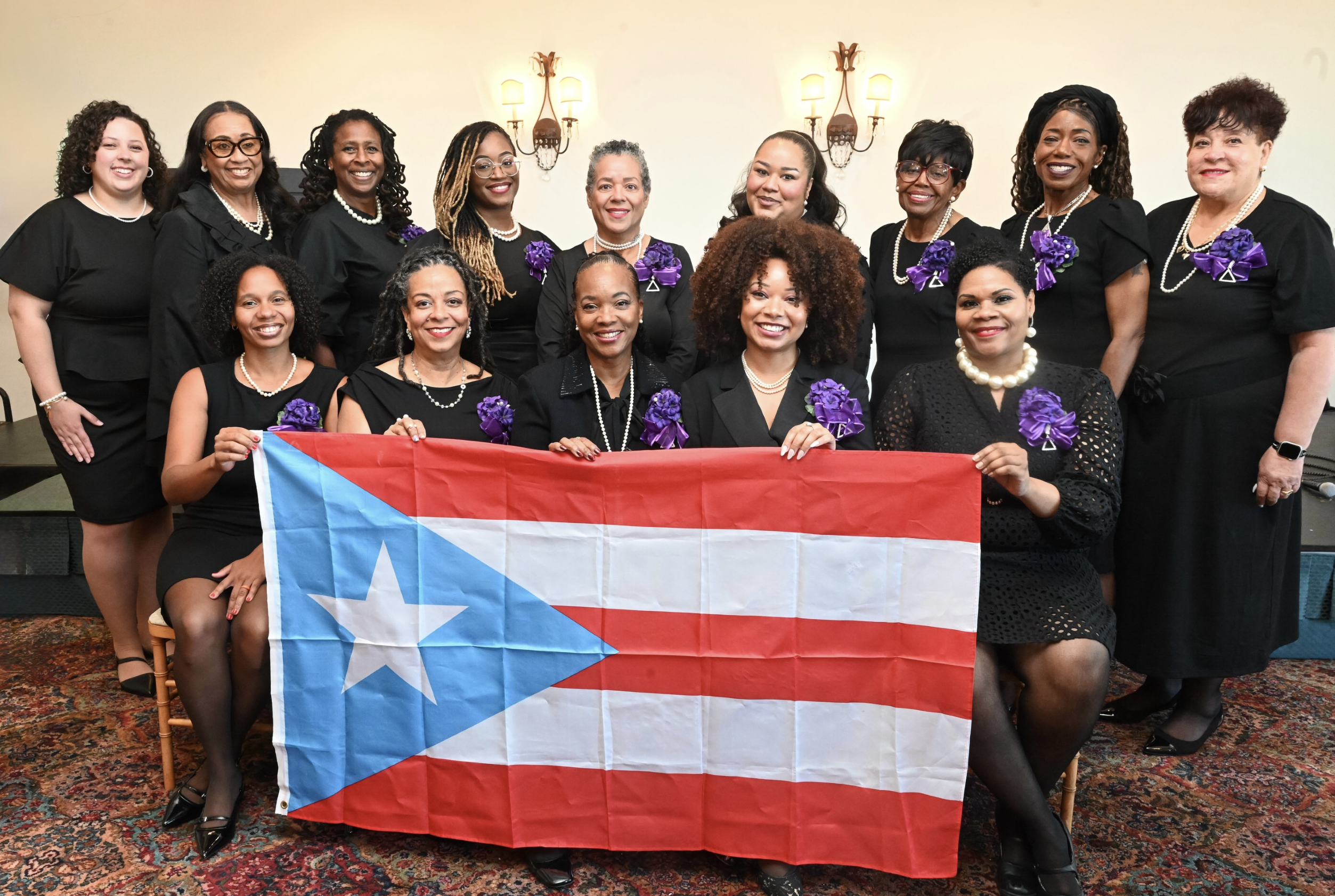 Delta sigma theta puerto rico